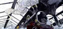 bonin02.jpg (39097 octets)
