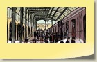 arsenelupinorigine0104